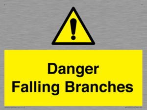 Danger Falling Branches